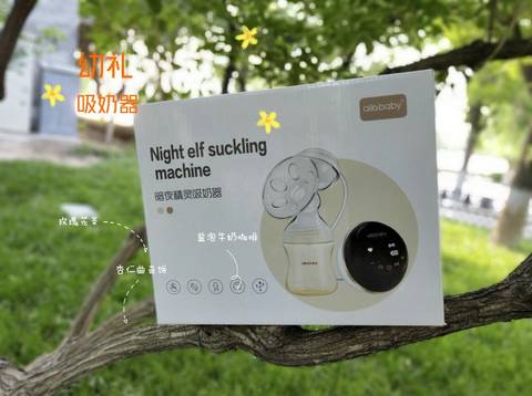 journal_insert_pic_1677702076