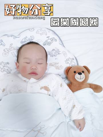 journal_insert_pic_1706240254