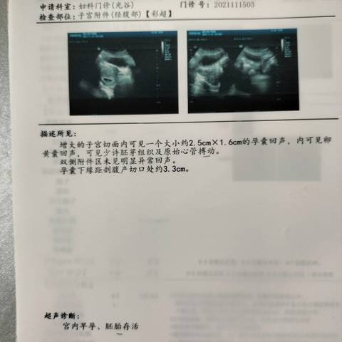 journal_insert_pic_1710496069