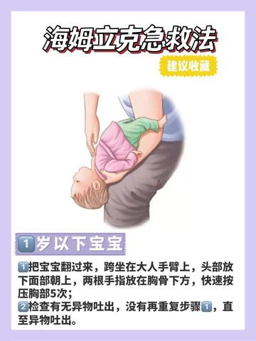 journal_insert_pic_1739963760
