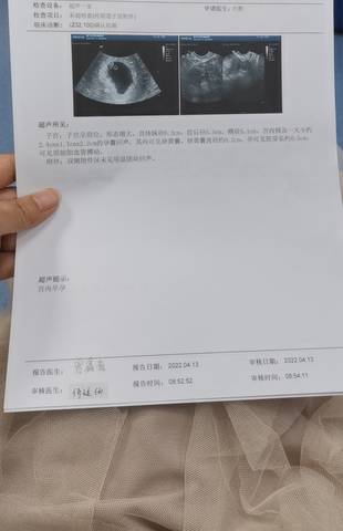 journal_insert_pic_1754675818