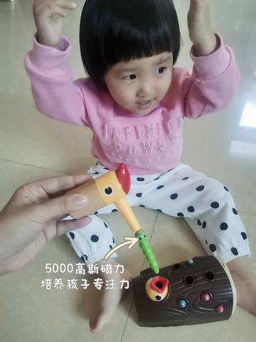 journal_insert_pic_1777350511