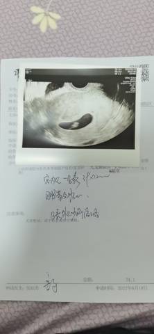 journal_insert_pic_1805953449