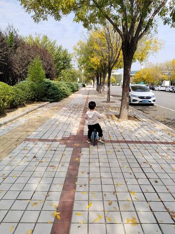 journal_insert_pic_1911442658