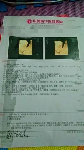 journal_insert_pic_4065609657