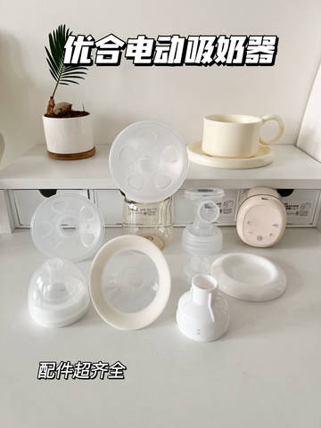 journal_insert_pic_4086328478