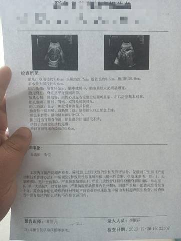journal_insert_pic_4089865818