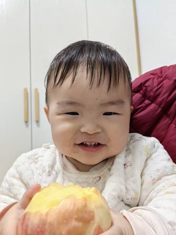 journal_insert_pic_4103106684