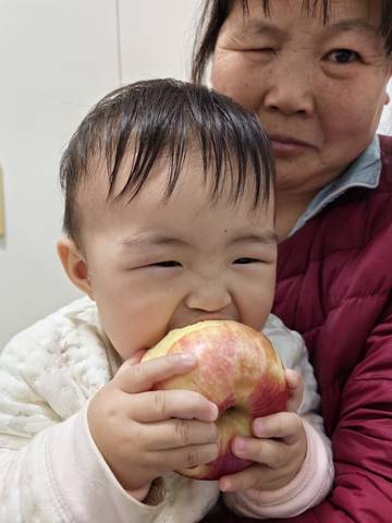 journal_insert_pic_4103106602