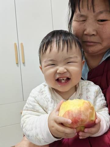 journal_insert_pic_4103106597