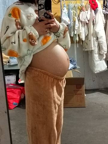 journal_insert_pic_4105689746