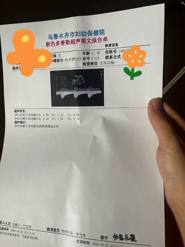 journal_insert_pic_4113973105