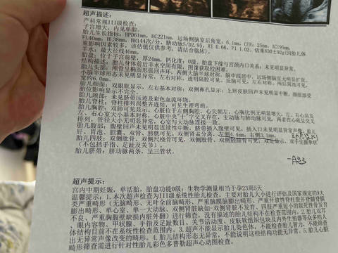 journal_insert_pic_4117388219