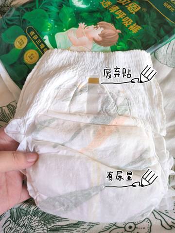 journal_insert_pic_4118589131
