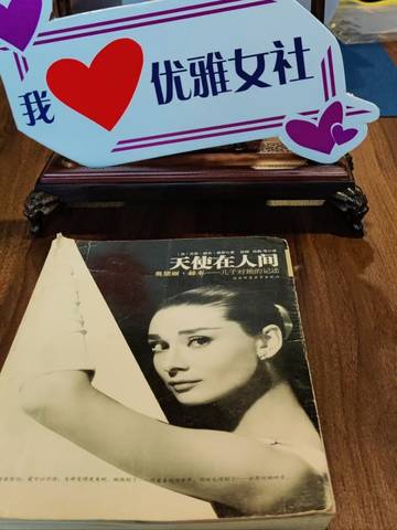 journal_insert_pic_4118701031