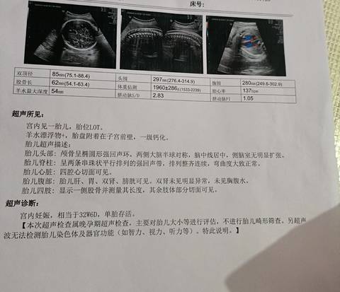 journal_insert_pic_4118854415