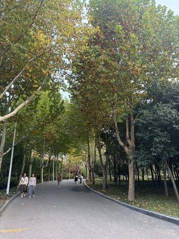 journal_insert_pic_4120904217