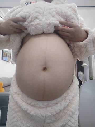 journal_insert_pic_4120954674