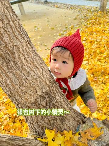 journal_insert_pic_4121273400