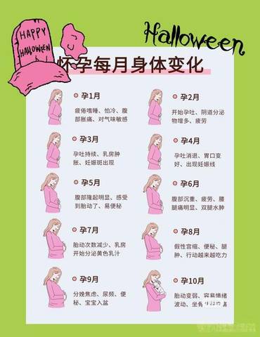journal_insert_pic_4125935323
