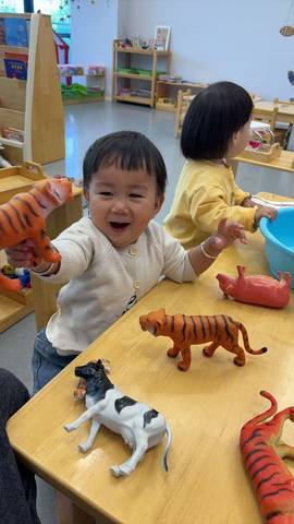 journal_insert_pic_4361074733