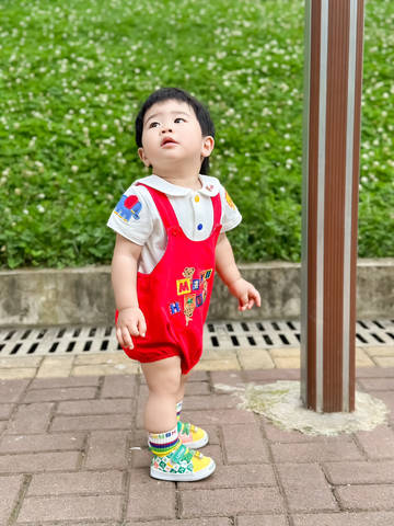 journal_insert_pic_4362027685