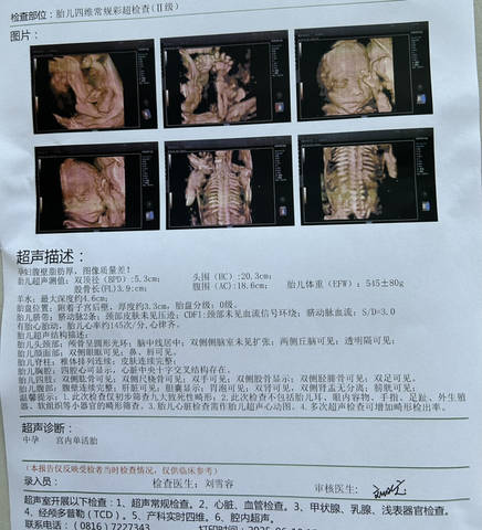 journal_insert_pic_4363016620