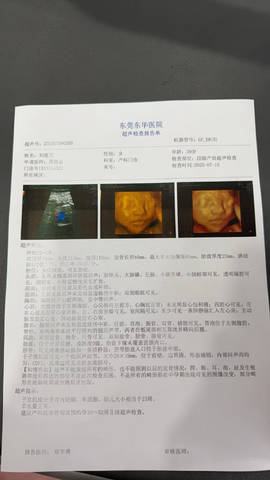 journal_insert_pic_4363069619