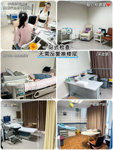journal_insert_pic_4412493677