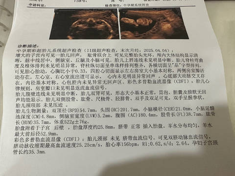journal_insert_pic_4413582816