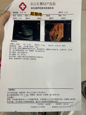 journal_insert_pic_4414090528