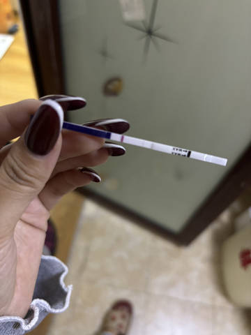 journal_insert_pic_4414300636