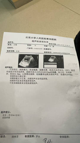 journal_insert_pic_4414785721