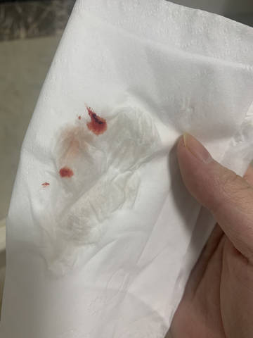 journal_insert_pic_4414826426