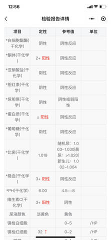 journal_insert_pic_4414839642