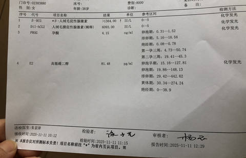 journal_insert_pic_4415218554