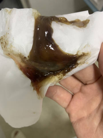 journal_insert_pic_4439863440