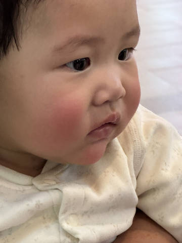 journal_insert_pic_4440058222