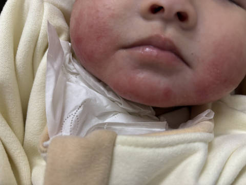 journal_insert_pic_4440059677