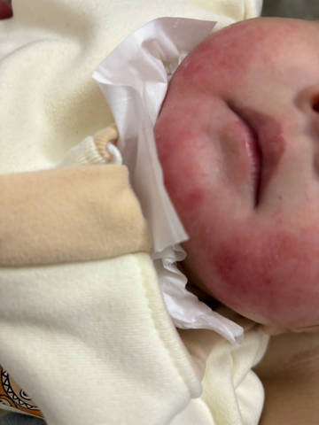 journal_insert_pic_4440059676