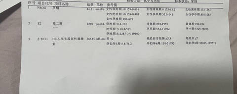 journal_insert_pic_4441623747