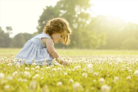 journal_insert_pic_965723526