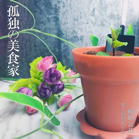 journal_insert_pic_984413042