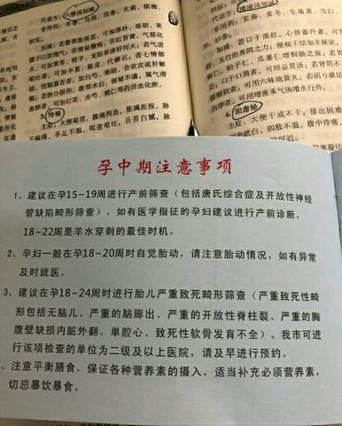 journal_insert_pic_1016366127