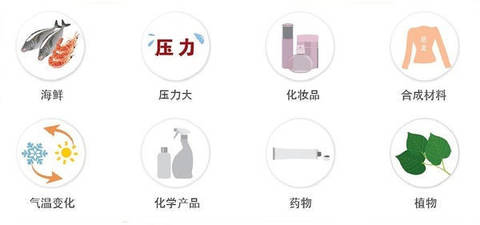 journal_insert_pic_1021693471