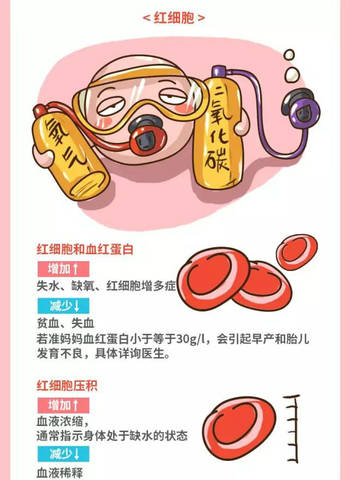 journal_insert_pic_1030268162