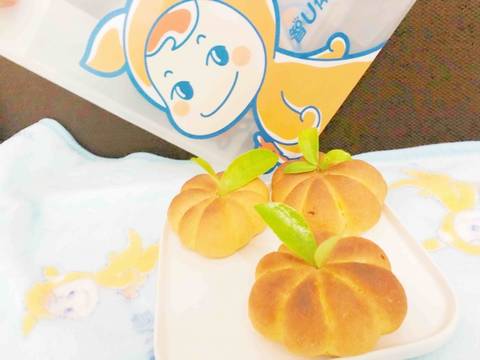 journal_insert_pic_1042797756