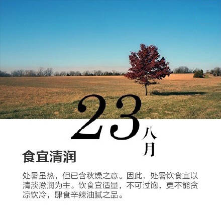 journal_insert_pic_1079324298