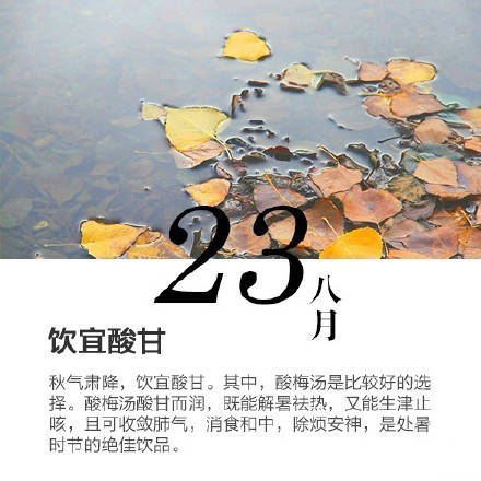 journal_insert_pic_1079324498