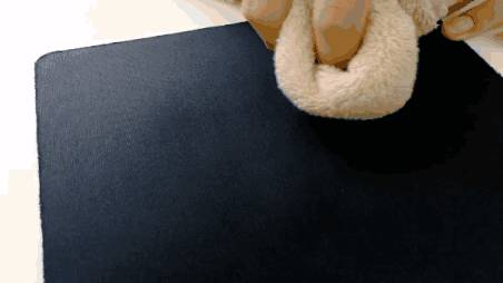 journal_insert_pic_1095849936